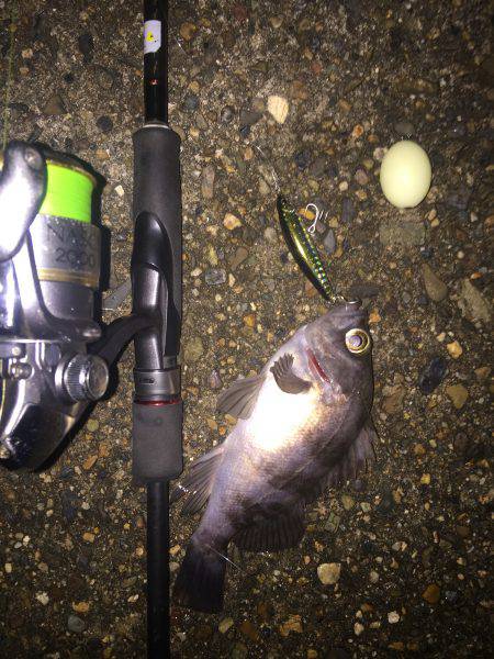 アクロバットな短時間ライト